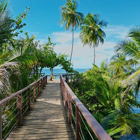 Oso Perezoso Pool Villa Puerto Viejo de Talamanca Zewnętrze zdjęcie