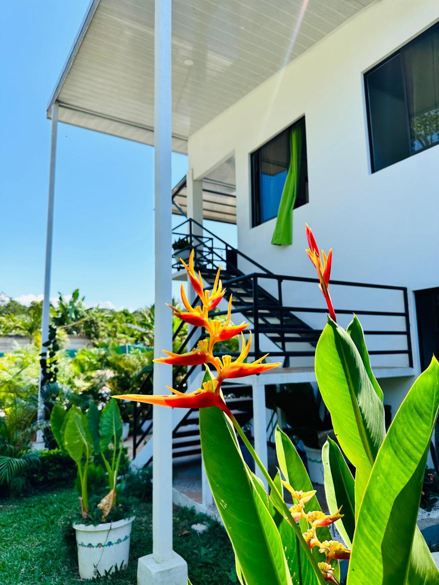 Oso Perezoso Pool Villa Puerto Viejo de Talamanca Zewnętrze zdjęcie