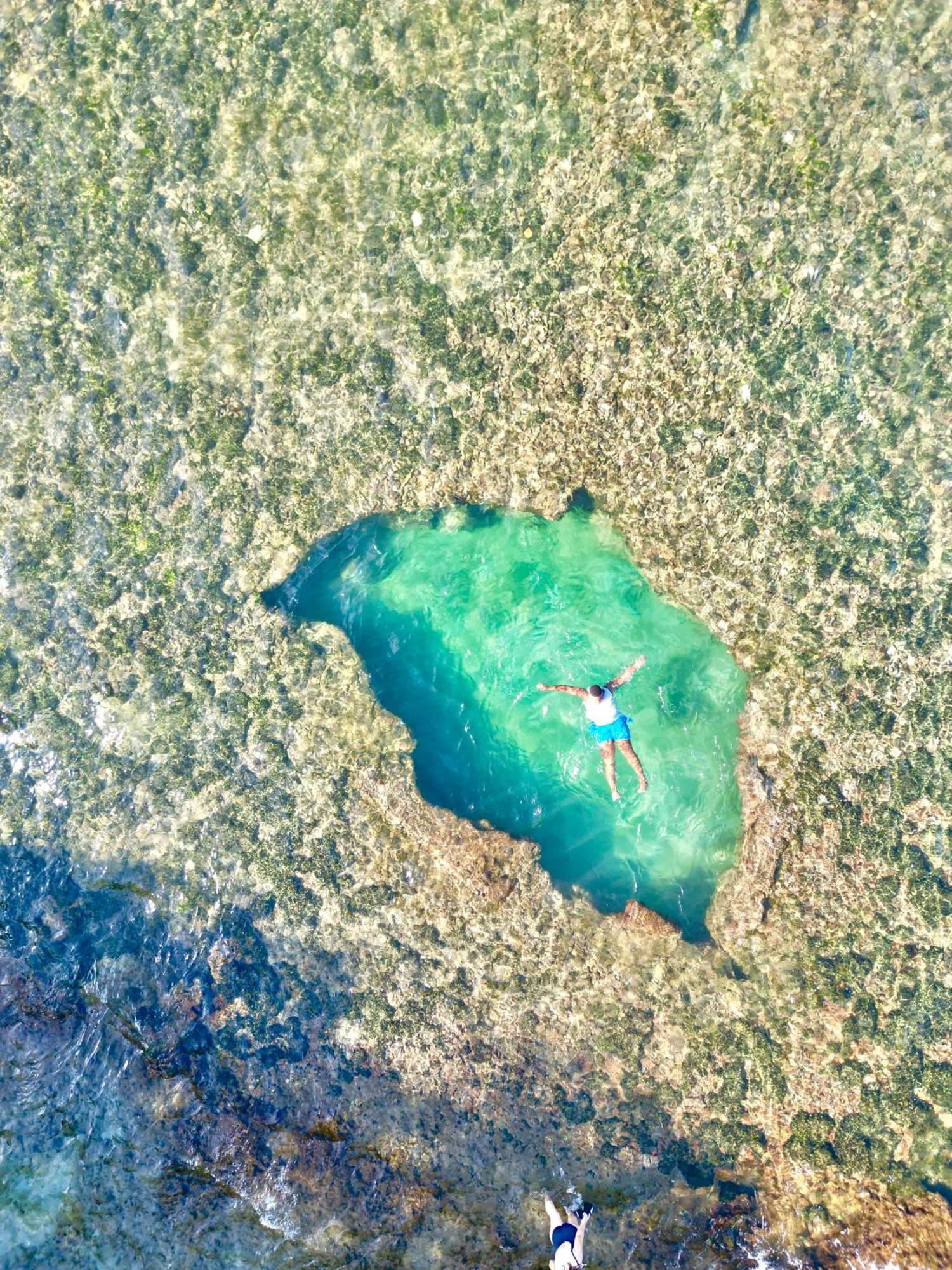 Oso Perezoso Pool Villa Puerto Viejo de Talamanca Zewnętrze zdjęcie