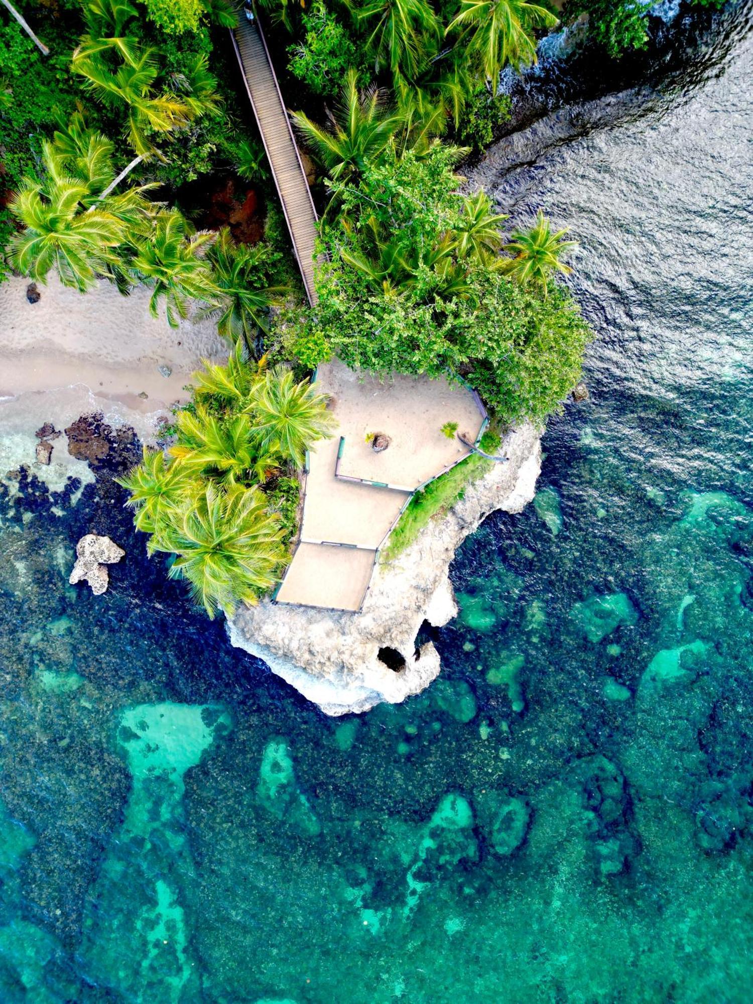 Oso Perezoso Pool Villa Puerto Viejo de Talamanca Zewnętrze zdjęcie